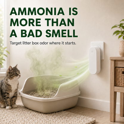 Odor Air Purifier